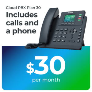 MOVOX Cloud PBX Plan 30